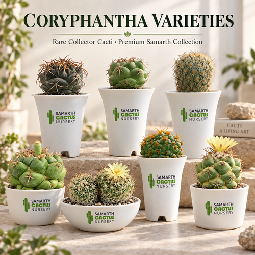 Coryopantha varieties