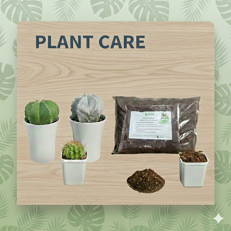 Plants Care Products
