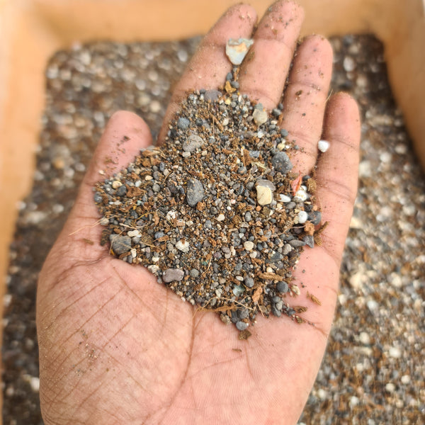 Potting mix Cactus and succulent