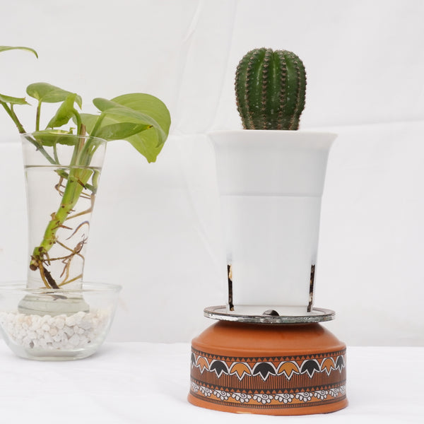 Echinopsis EO466 hybrid 4_INCHS_RAUND_N_POT WHITHOUT_POT_SHIPPING
