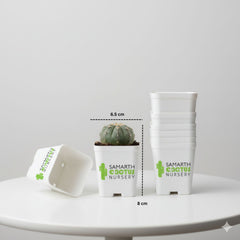 Set Of 12 - 3 inch White Pots