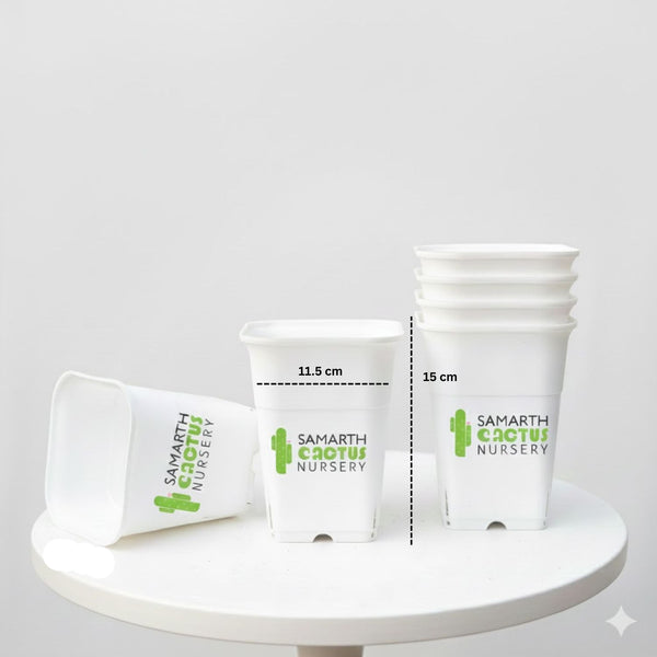 Set of - 5.5inch White Pots