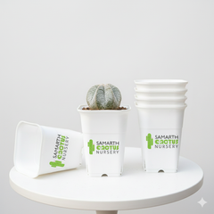 Set of - 5.5inch White Pots