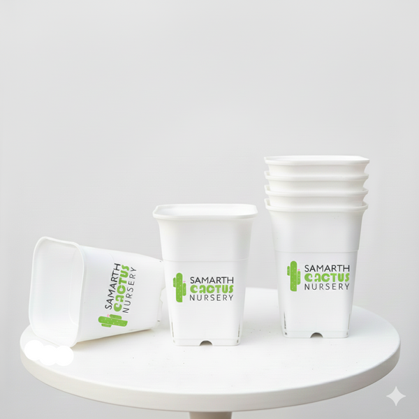 Set of - 5.5inch White Pots