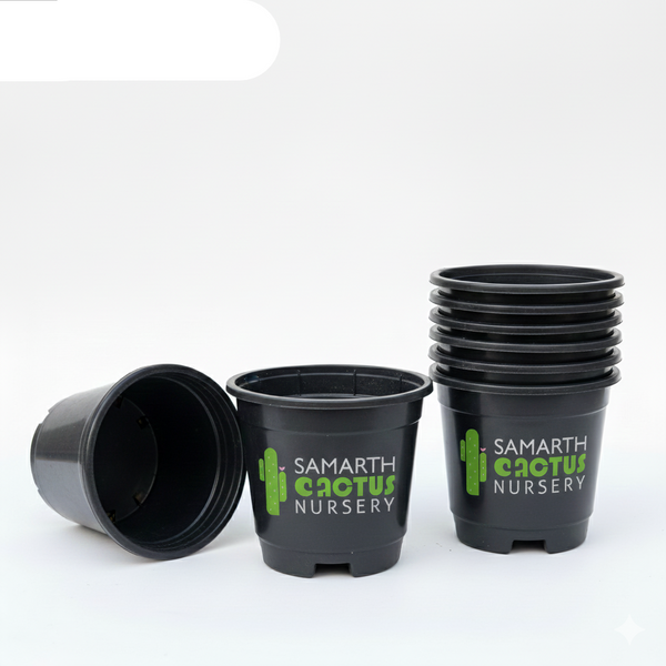 Set Of - 5inch Black Pots