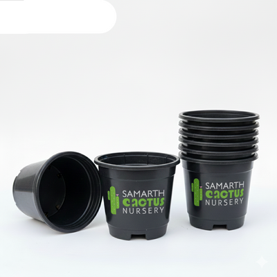 Set Of - 5inch Black Pots