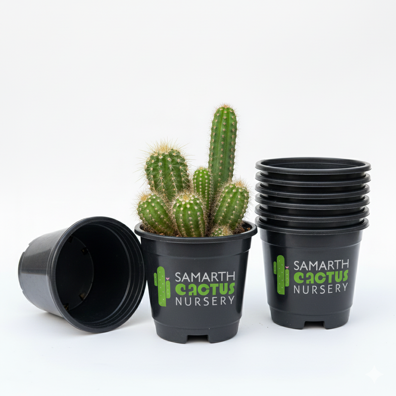 5 Inch Pots Set of 5-Inch Black Pots – Premium Plant Planters – Samarth Cactus Nursery