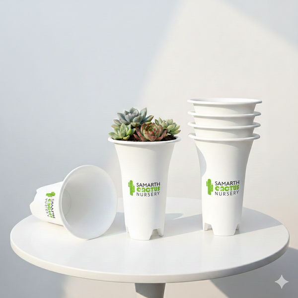 Set Of - 6 inch Big White Pots