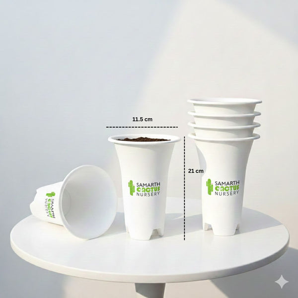 Set Of - 6 inch Big White Pots