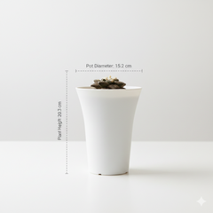 Ariocarpus fissuratus