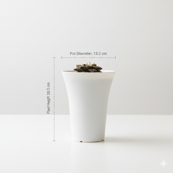 Ariocarpus fissuratus