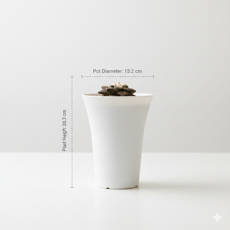 Ariocarpus fissuratus