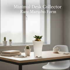 Ariocarpus reduces cv maruibo