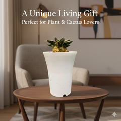 Ariocarpus retusus scheidw