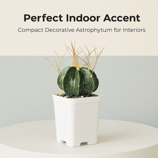 Astrophytum capricorne