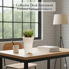 Astrophytum myriostigma fukuryu variegated