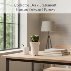 Astrophytum myriostigma fukuryu variegated