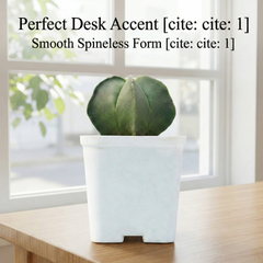 Astrophytum nudam pantacostum