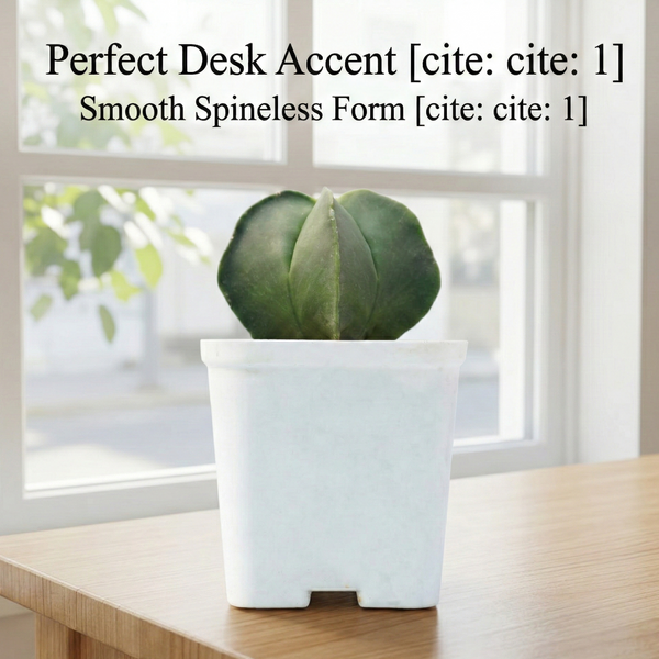 Astrophytum nudam pantacostum