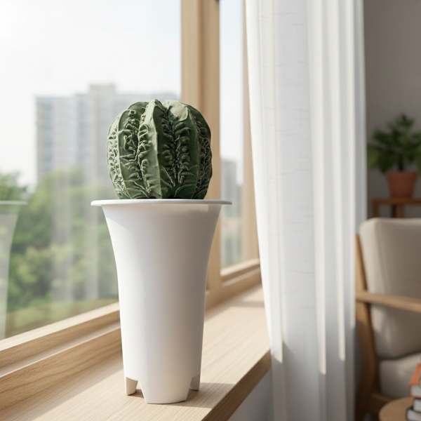 Potted plant on a windowsill with a view of buildings outside