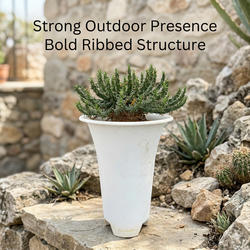 Euphorbia flanaganii