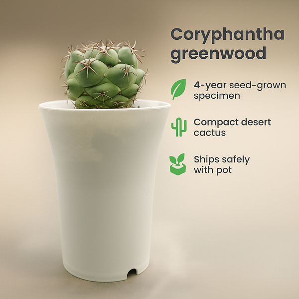 coryphantha greenwood