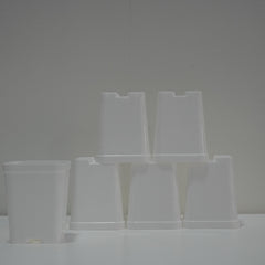 cactus pots - 3 inchs-spare pots- set of 12 pots