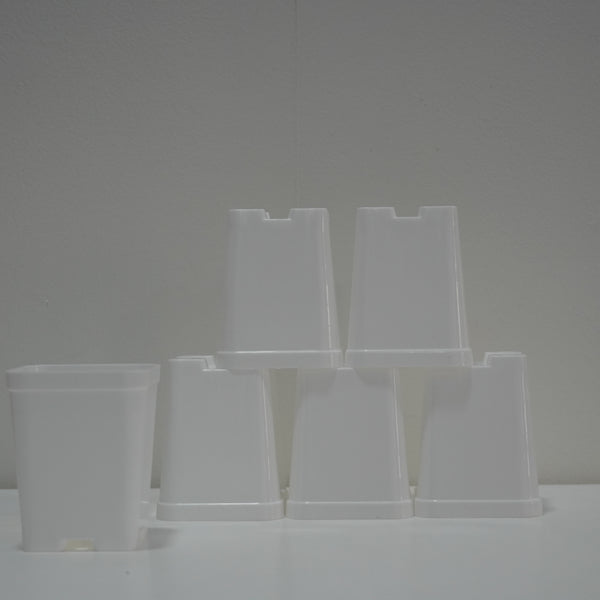 cactus pots - 3 inchs-spare pots- set of 12 pots
