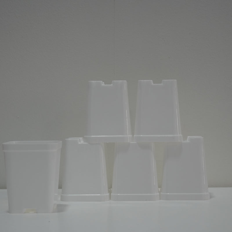 cactus pots - 3 inchs-spare pots- set of 12 pots