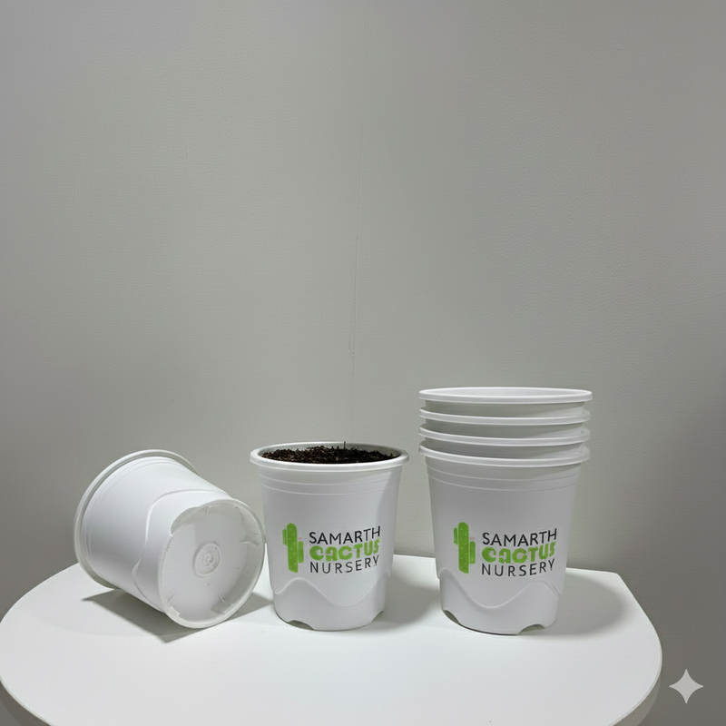 Set Of 3 - 7.5inch  White Pots