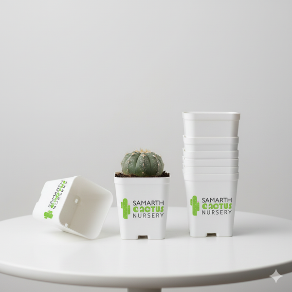 Set Of 12 - 3 inch White Pots