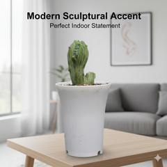 myrtillocactus geometrizans monstrose