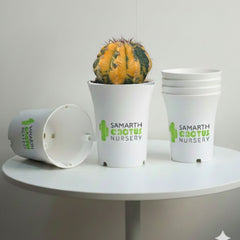 Set Of 12 - 6inch White Pot