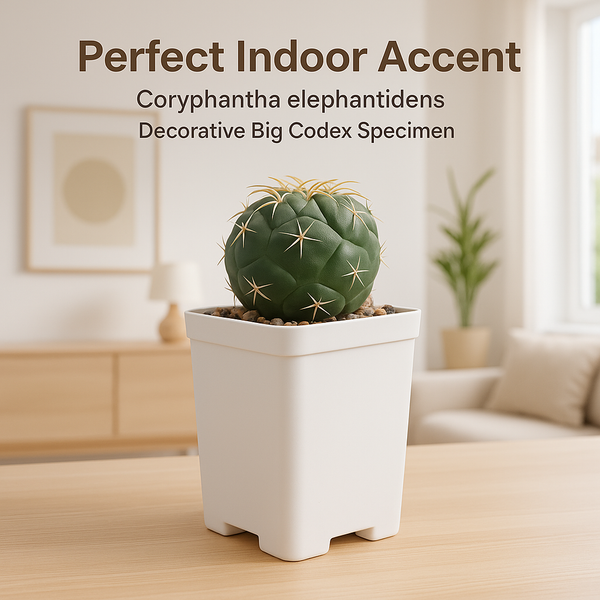 Coryphantha Elephantidens