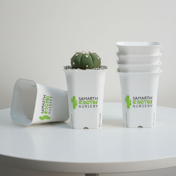 Set Of 12-3.5inch White Tall square Pot