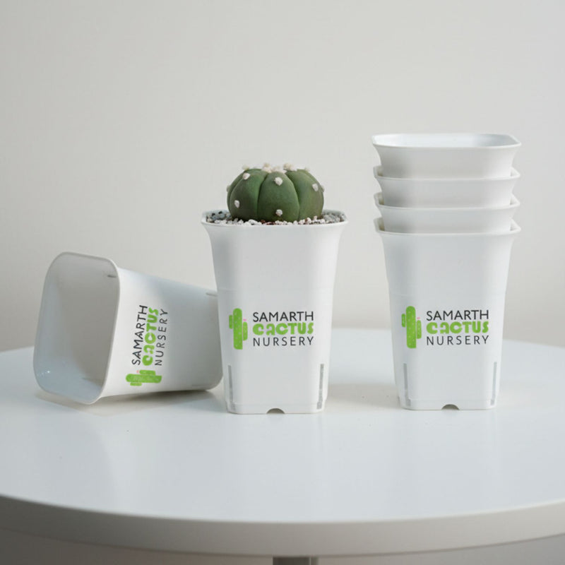 Set Of 12-3.5inch White Tall square Pot