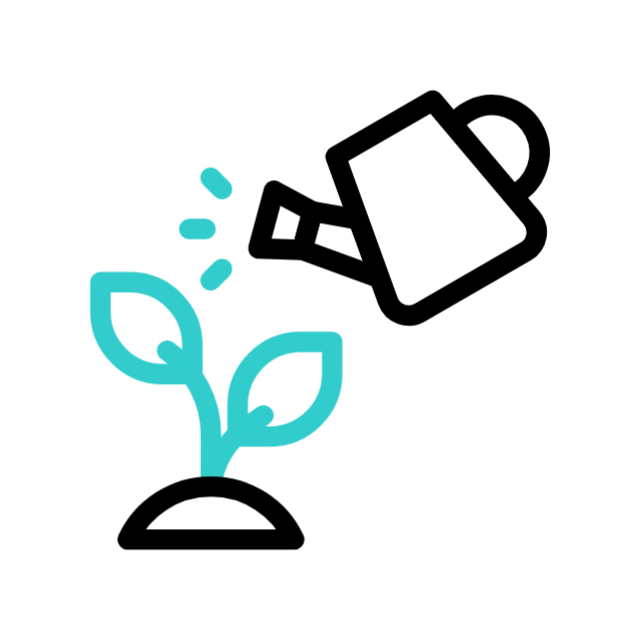 Water plants fully every 7-9 days