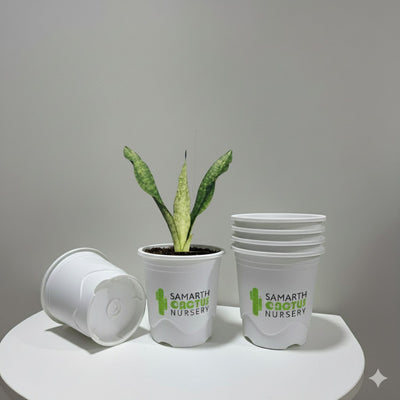 Set Of 3 - 7.5inch  White Pots