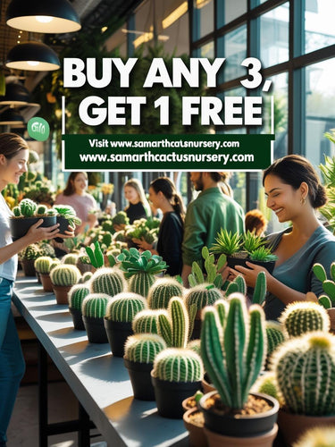 Offer- buy 3  get 1 free