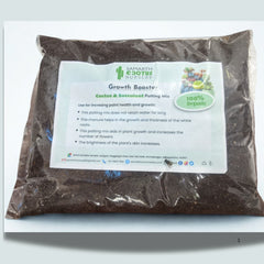 Potting mix Cactus and succulent