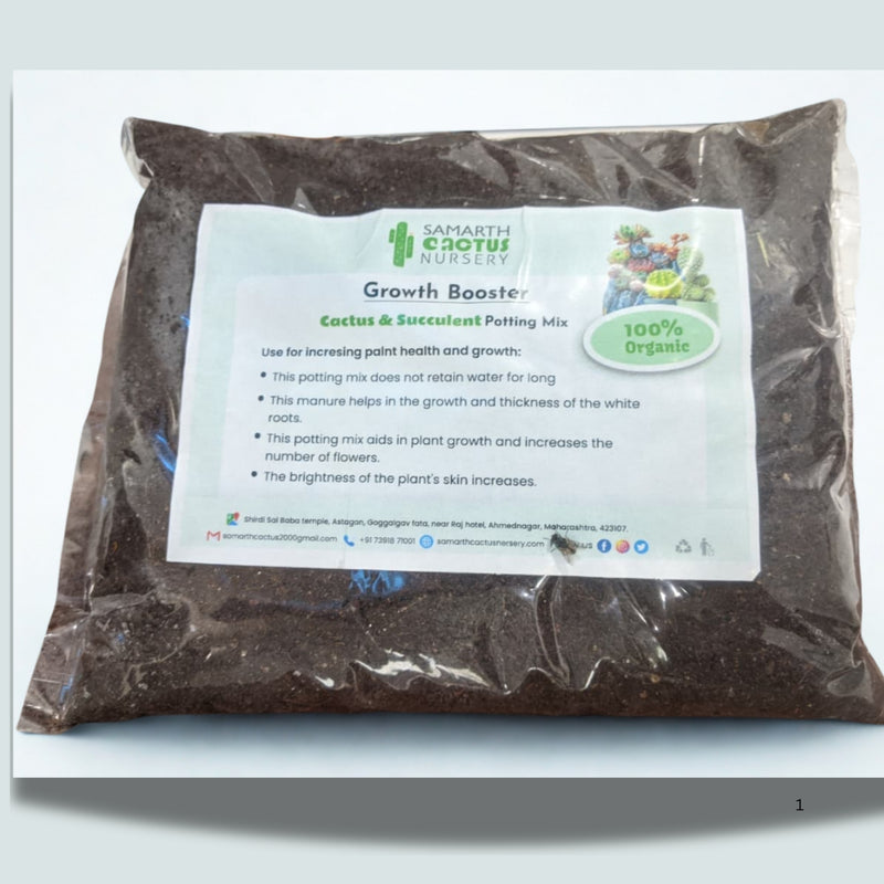 Potting mix Cactus and succulent