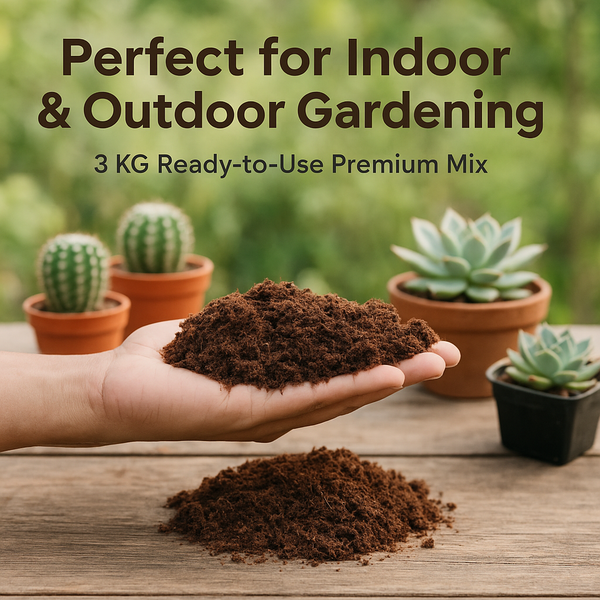 Potting mix Cactus and succulent