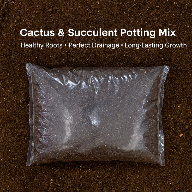 Potting mix Cactus and succulent