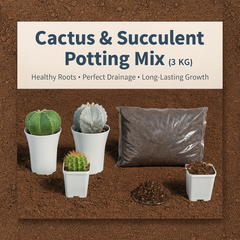 Potting mix Cactus and succulent