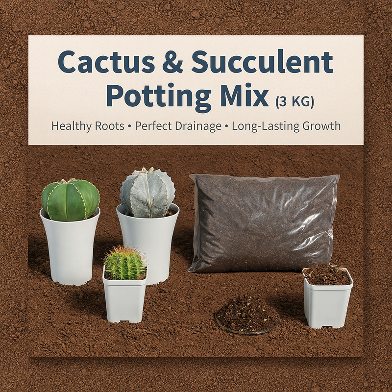 Potting Mix for Cactus and Succulent – Premium Soil – Samarth Cactus ...