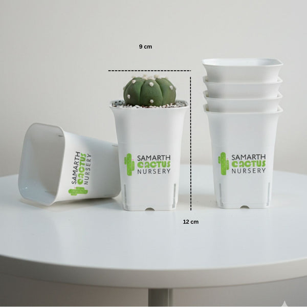 Set Of 12-3.5inch White Tall square Pot